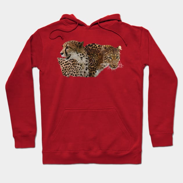 wild cat Hoodie by obscurite